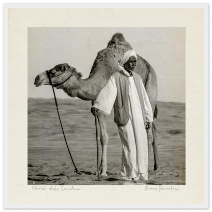 b95fde53-2bb8-4347-8ab0-7146181564c8