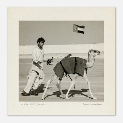 ba2ee954-f4bc-46f4-b5e5-6714423b2076