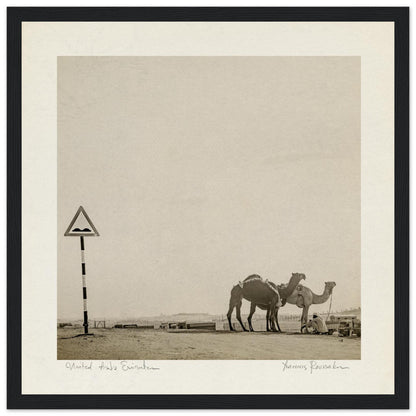 bb496e9e-1dee-4d21-aa89-2a577747b50d