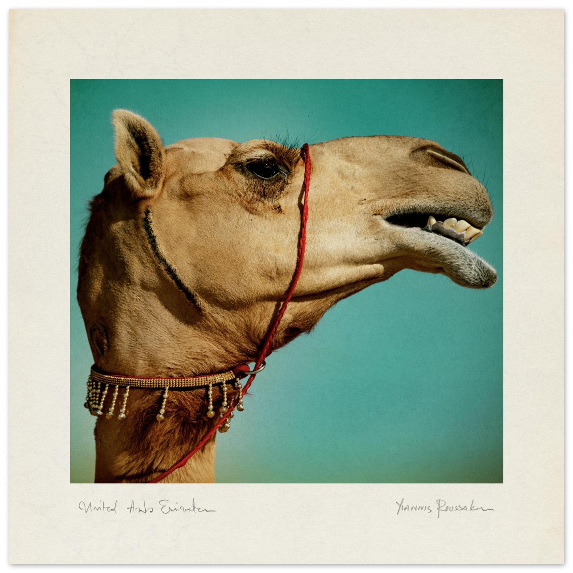 bb93530a-955c-47b2-aaa9-47ffbd003468