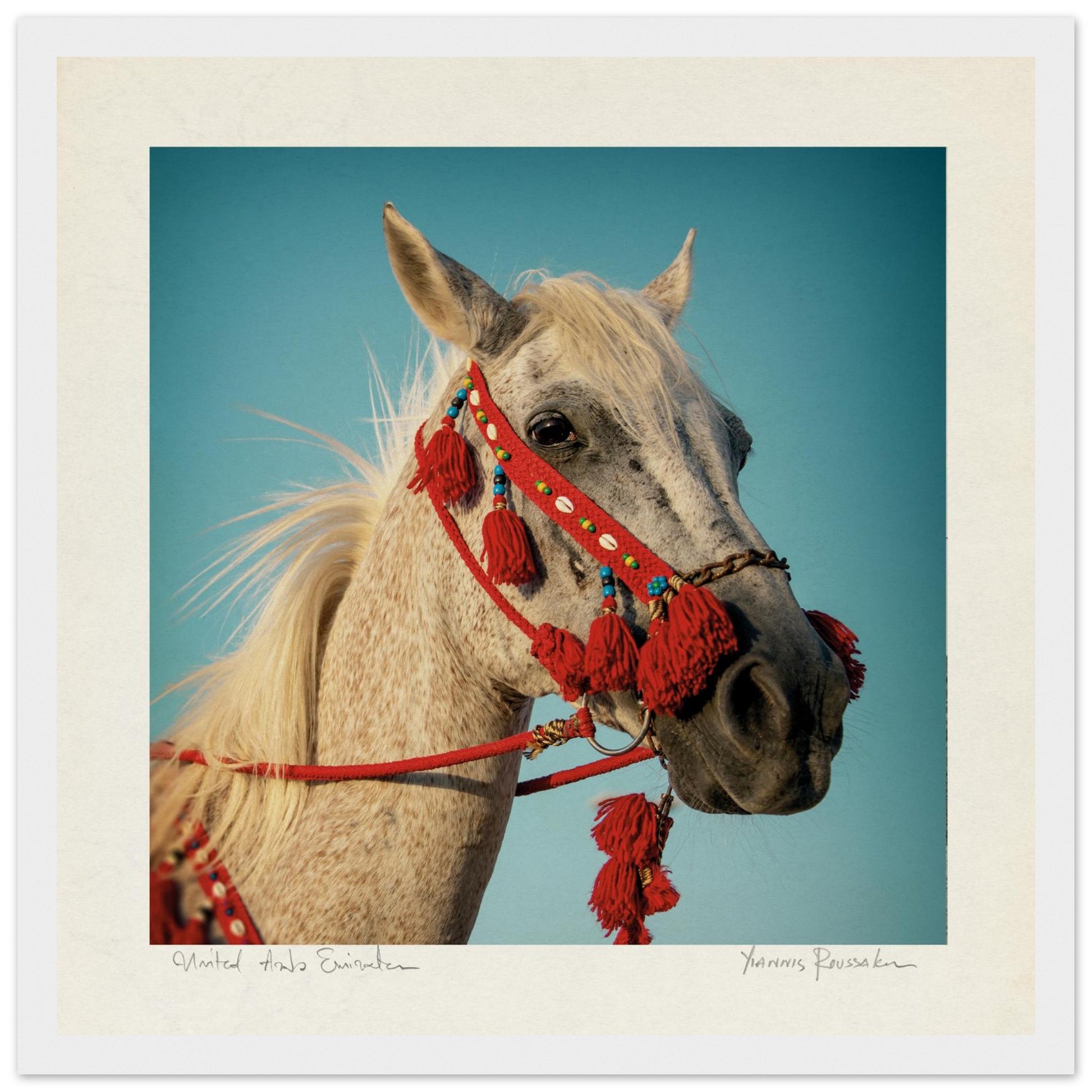 bbeee171-e89b-411f-a93e-524d3fff826c