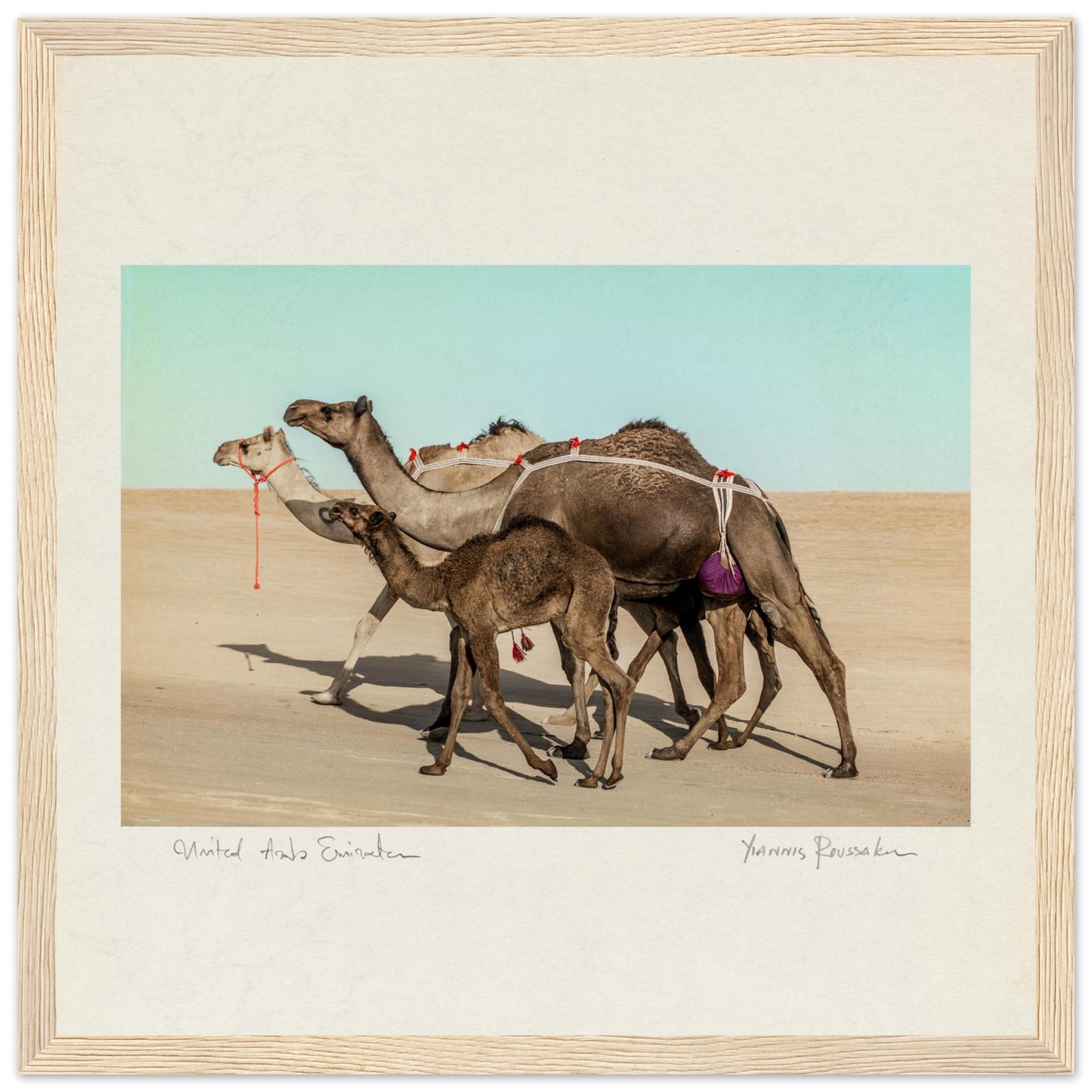 bbfc4597-3f76-41fe-acf8-c9cf6ec02c76