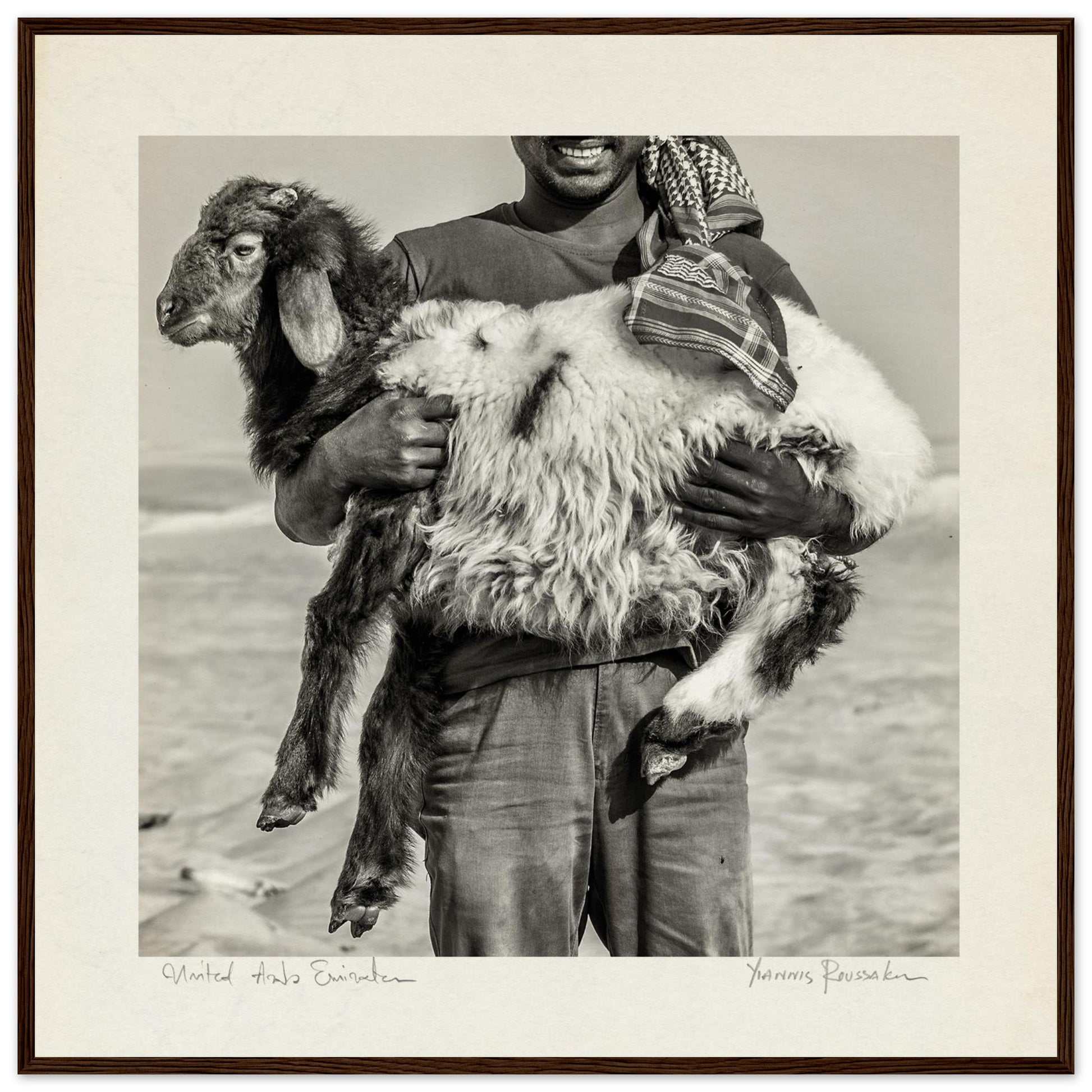 bc659ae5-1295-475a-ae75-b11c0321ae11