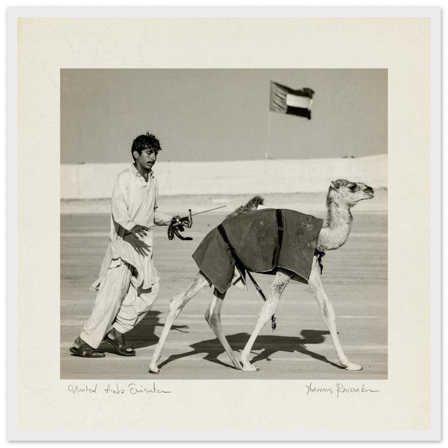 bd1e1bf1-02d8-4da2-bad0-ece9cbc53746