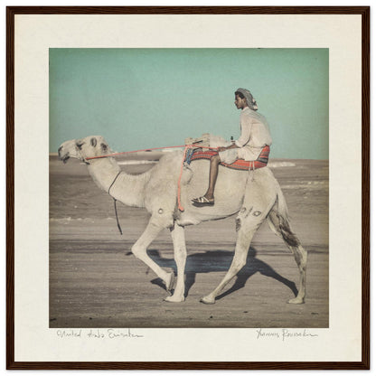 bf1e3cc3-12da-477f-ad89-57082fab9d9b