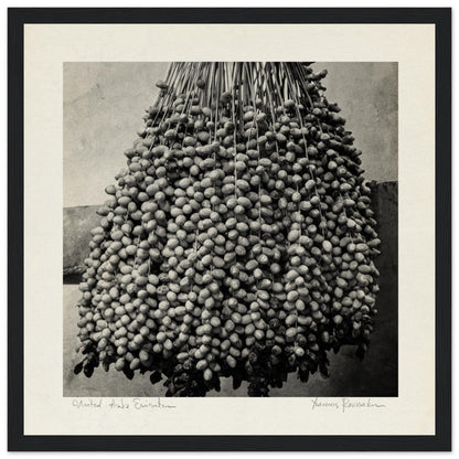 bfe30c5f-4385-4eb8-aa1e-5204b3eec2ed