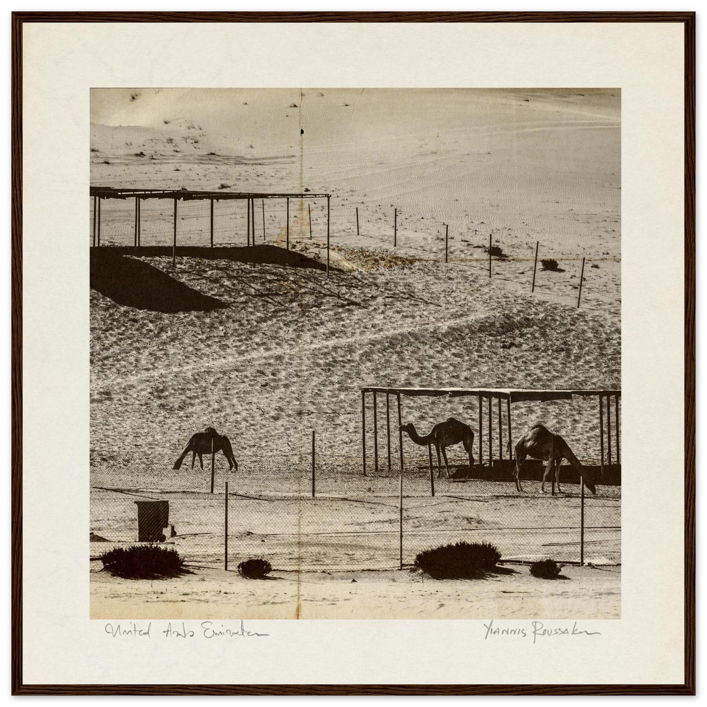 bff864f5-5d7f-44fa-a29b-9e7776885dbf