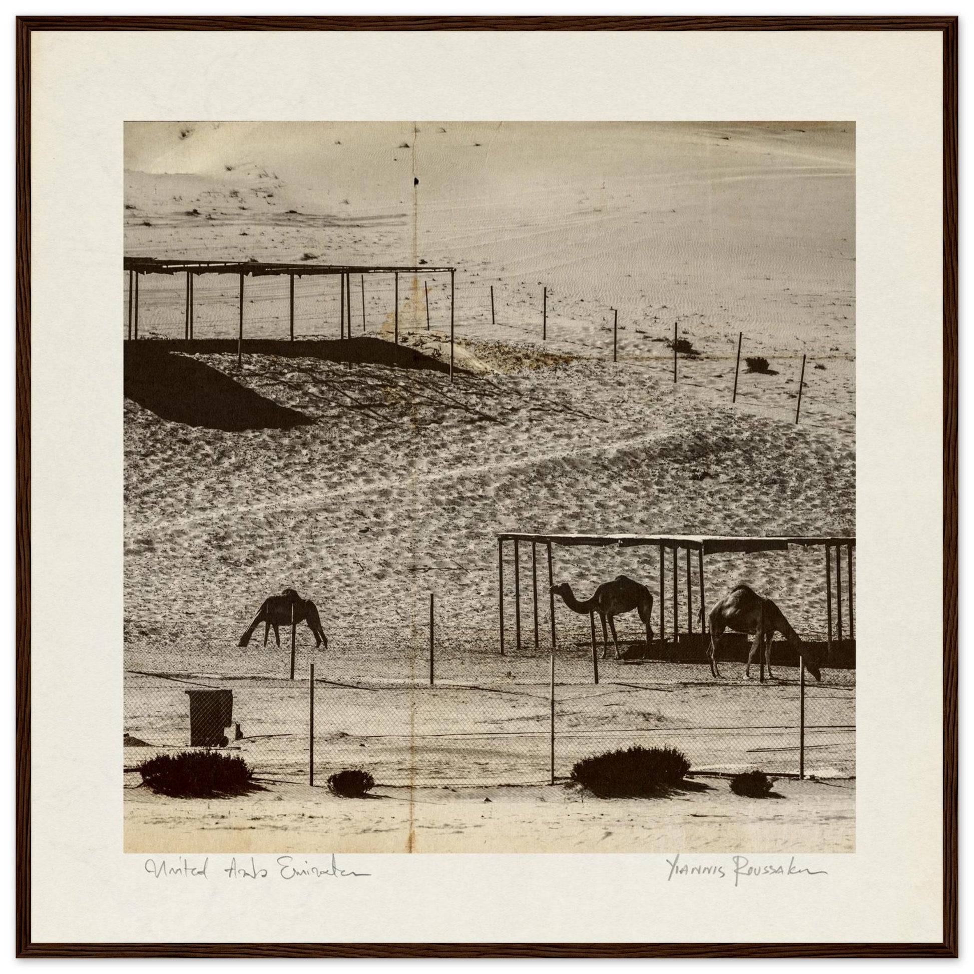 bff864f5-5d7f-44fa-a29b-9e7776885dbf