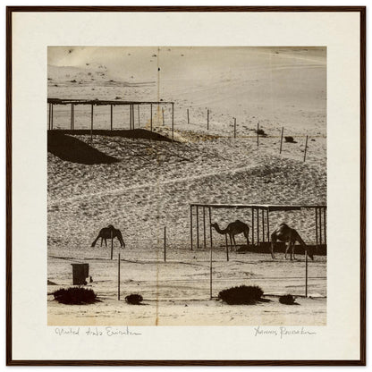 bff864f5-5d7f-44fa-a29b-9e7776885dbf