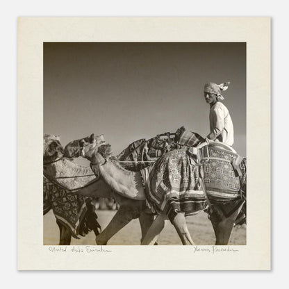 c02b0b7b-30cd-49fa-a159-05753af8ecbe