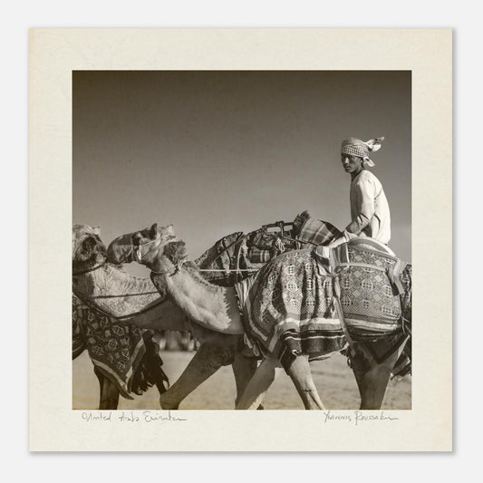 c02b0b7b-30cd-49fa-a159-05753af8ecbe