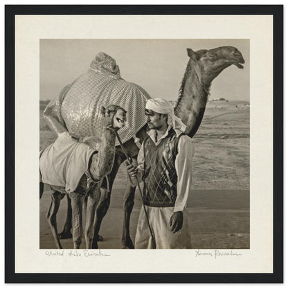 c09ef7d1-7fd0-4c15-b530-2fb57f41cc80