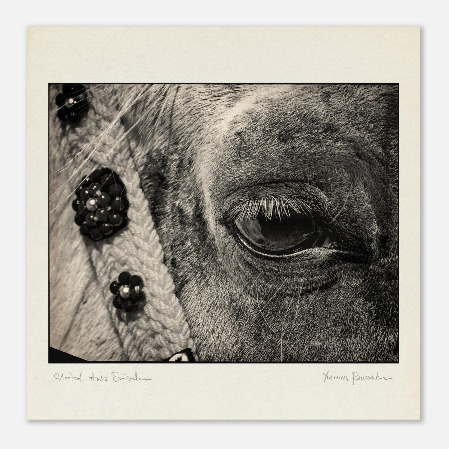 c44251b9-8208-476a-baa2-82739c05c724