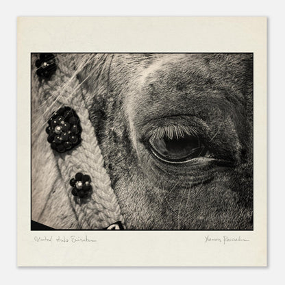 c44251b9-8208-476a-baa2-82739c05c724