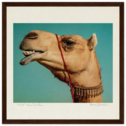 c5aaaec7-912f-49e1-8111-dd9b989e811b