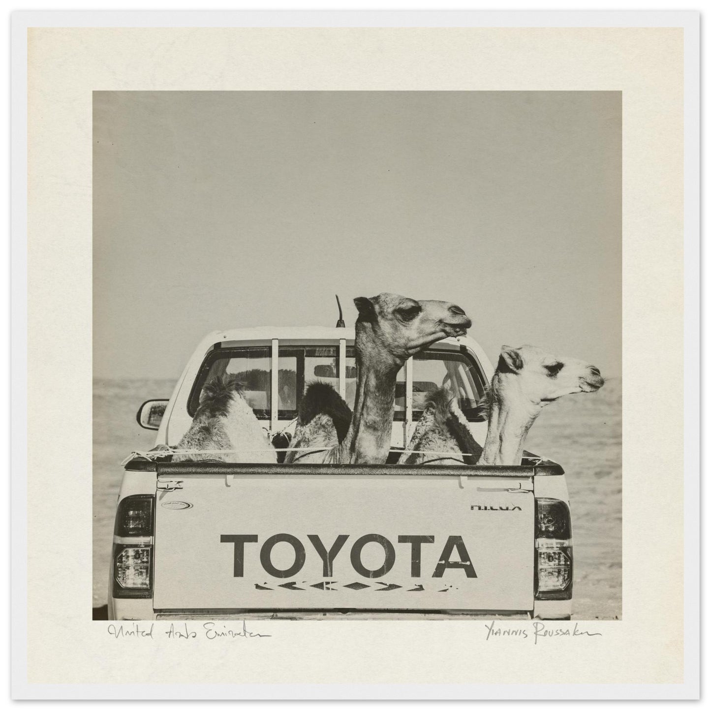 c5fbdcf9-3aa9-4032-92c2-81b42930a199