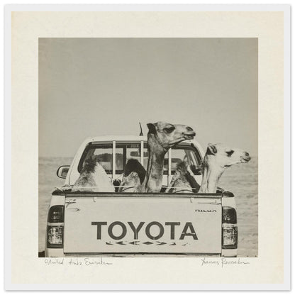 c5fbdcf9-3aa9-4032-92c2-81b42930a199