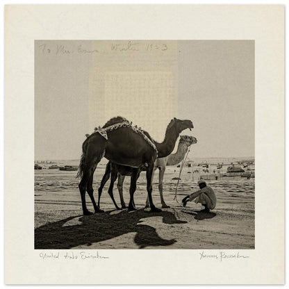 c66bb986-77db-4ad4-9fc0-8e39502a9f88