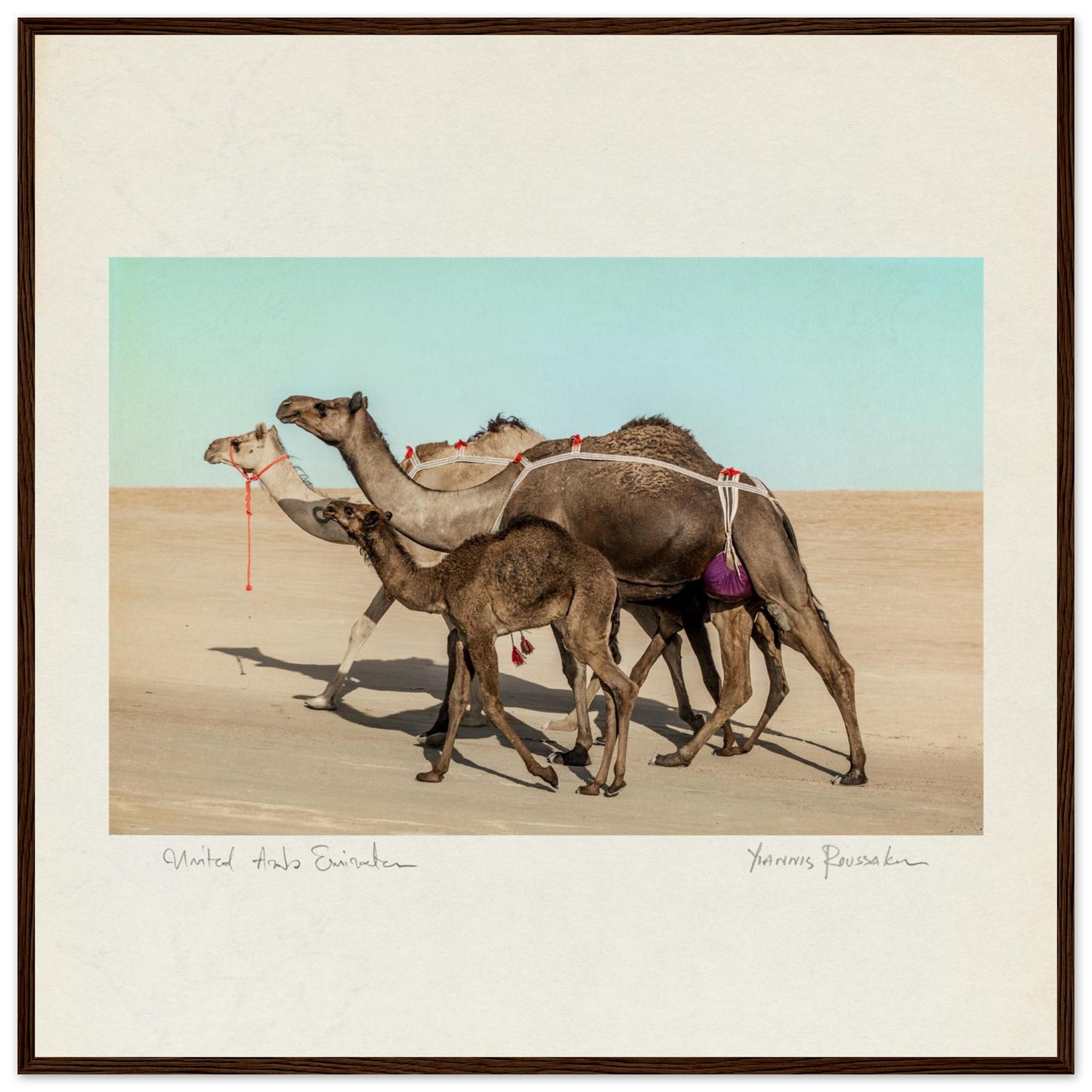 c67218d1-4318-4485-b842-ad499fa5afa9