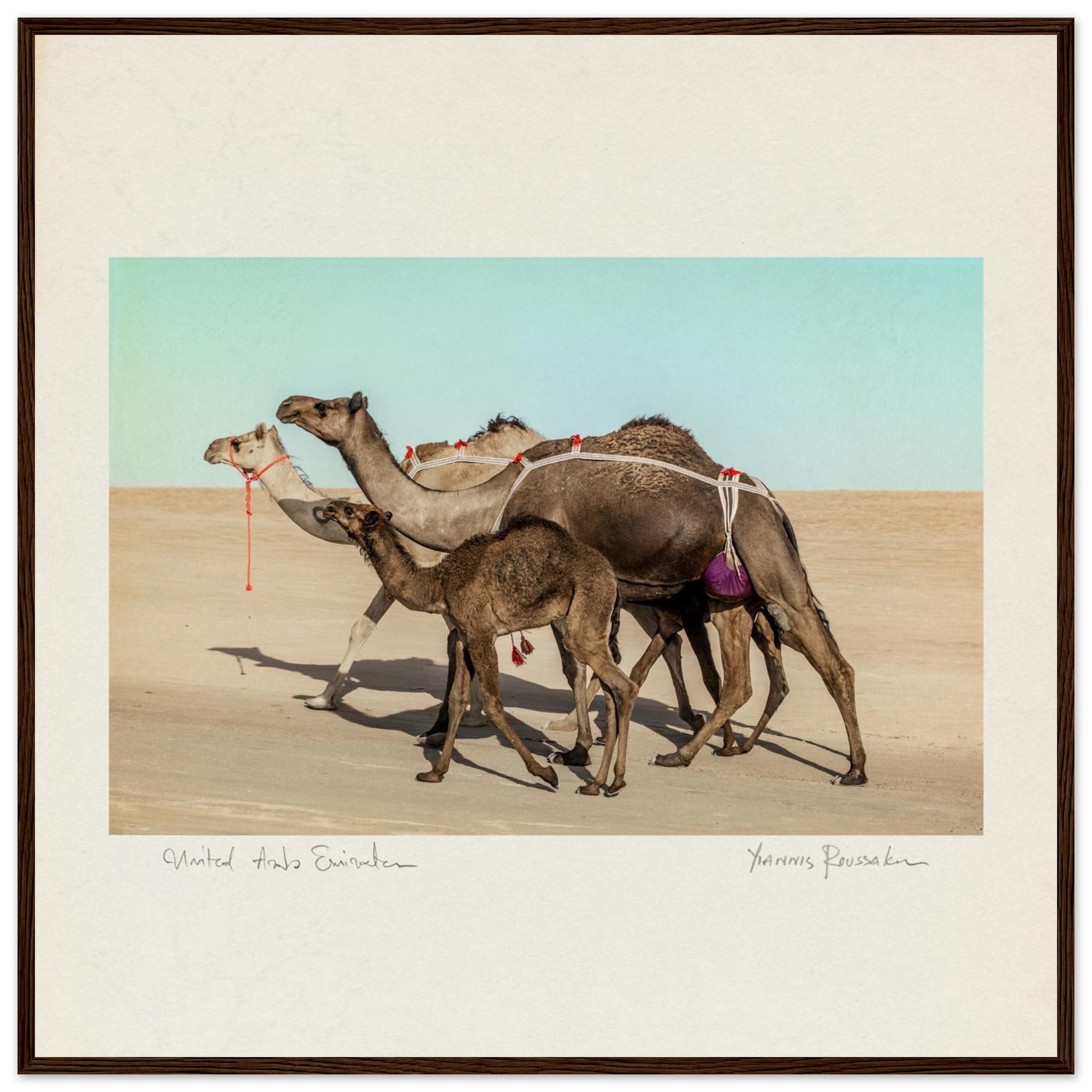 c67218d1-4318-4485-b842-ad499fa5afa9