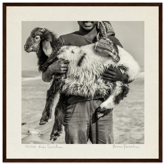 c76a8d34-4f01-43df-85d5-e8996f454f16