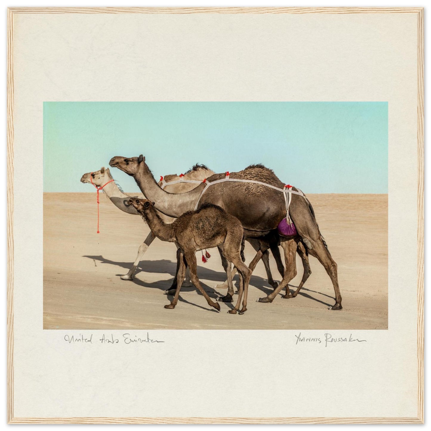 c7e6d9e4-f433-474d-a677-8cbef1d12bac