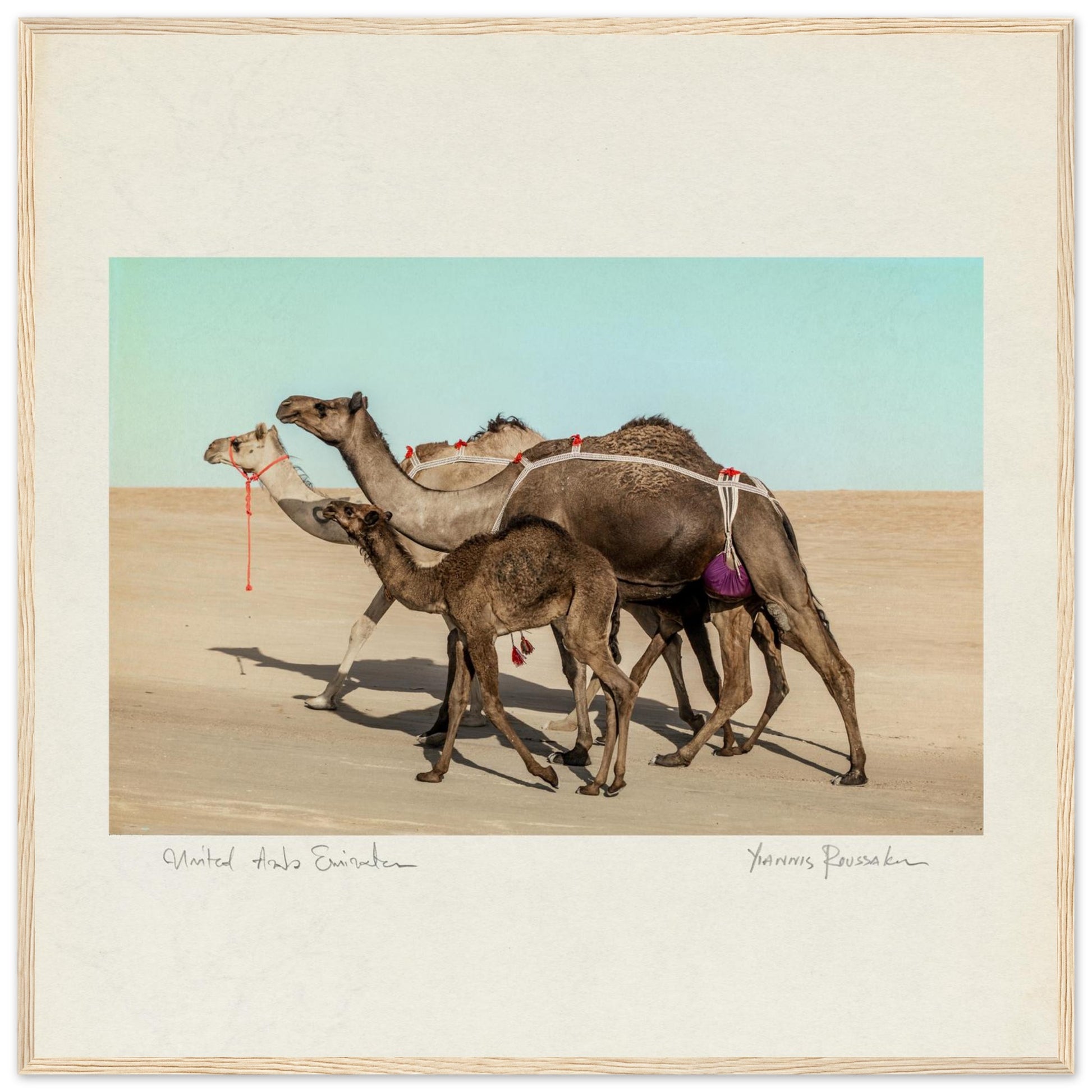 c7e6d9e4-f433-474d-a677-8cbef1d12bac