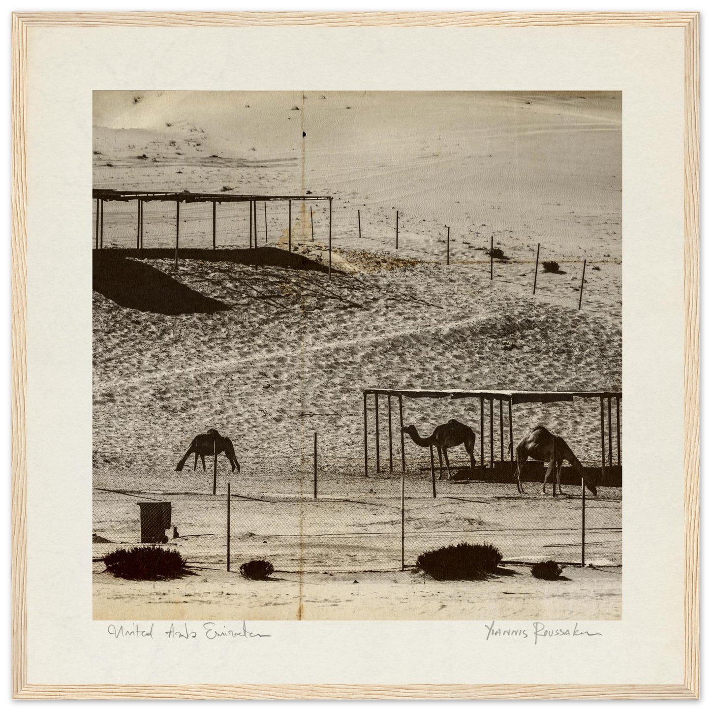 ca4b7856-00b5-4bc1-b349-40a9b67be1c8