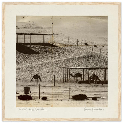 ca4b7856-00b5-4bc1-b349-40a9b67be1c8