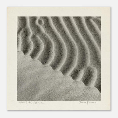 ca82304b-fd7d-41c7-8744-eb4d1baa6acd