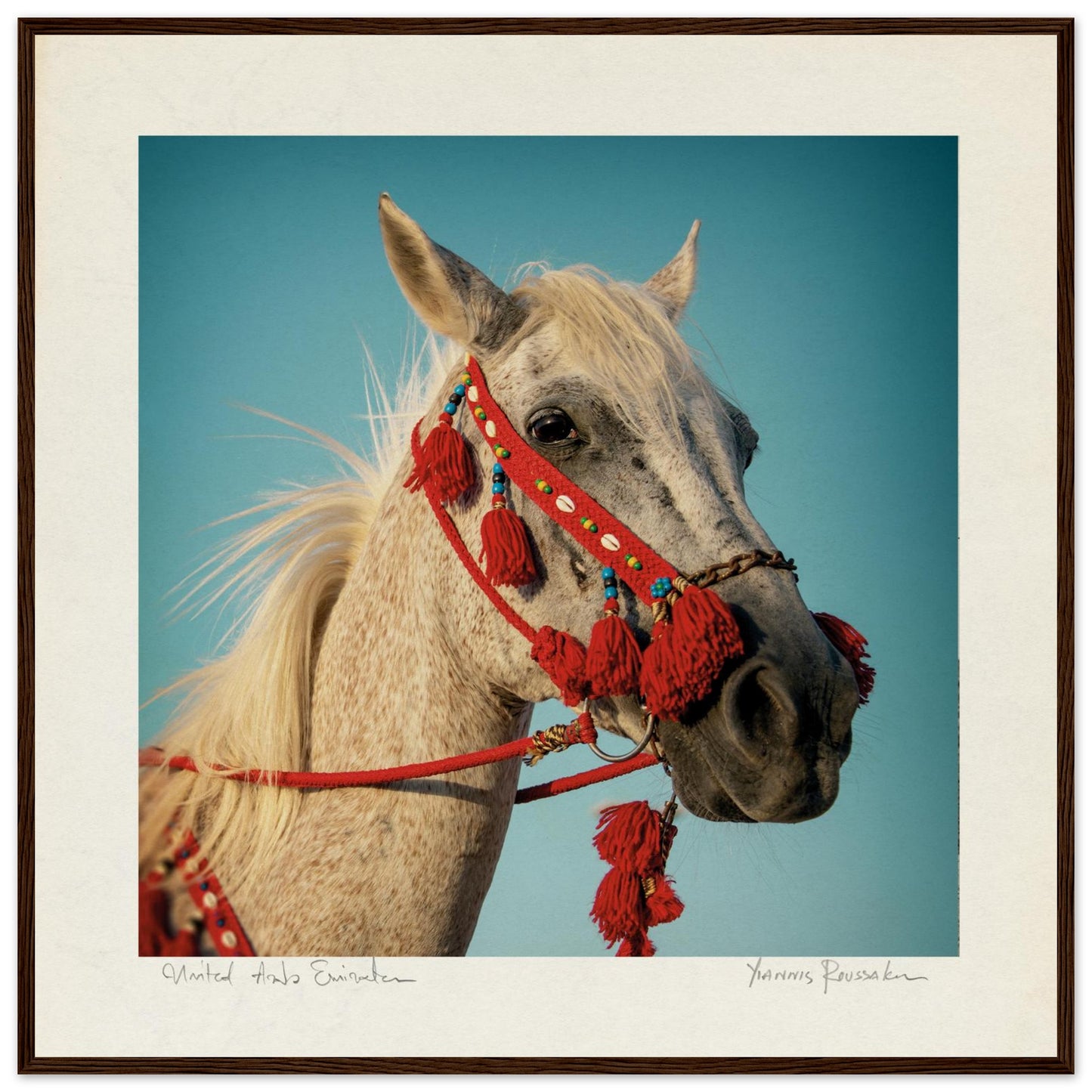 cb4bebf2-5cf7-4d94-b4a4-ee07c25686fb