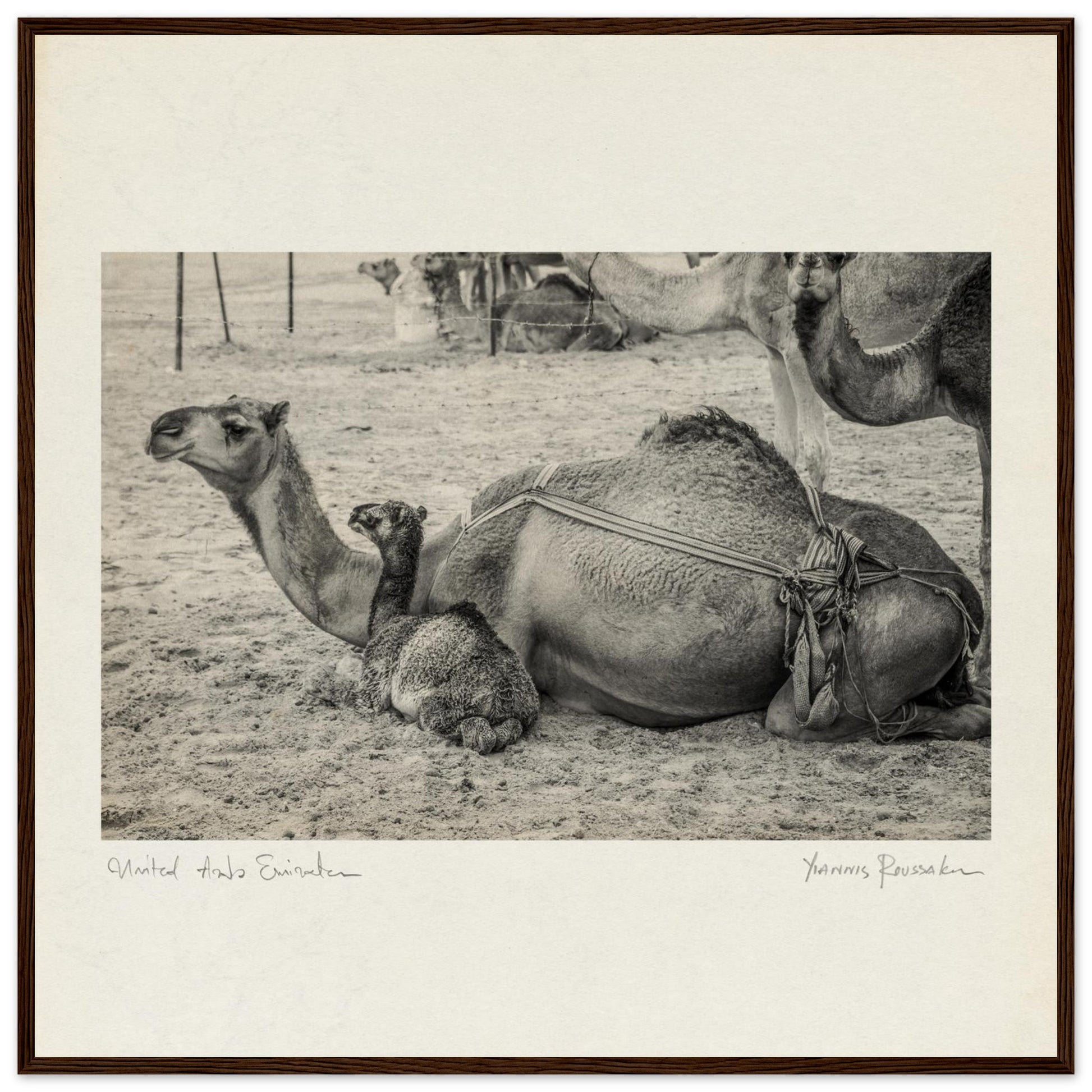 cb8387bf-2837-4aa4-ba79-eb17ab3b8bac