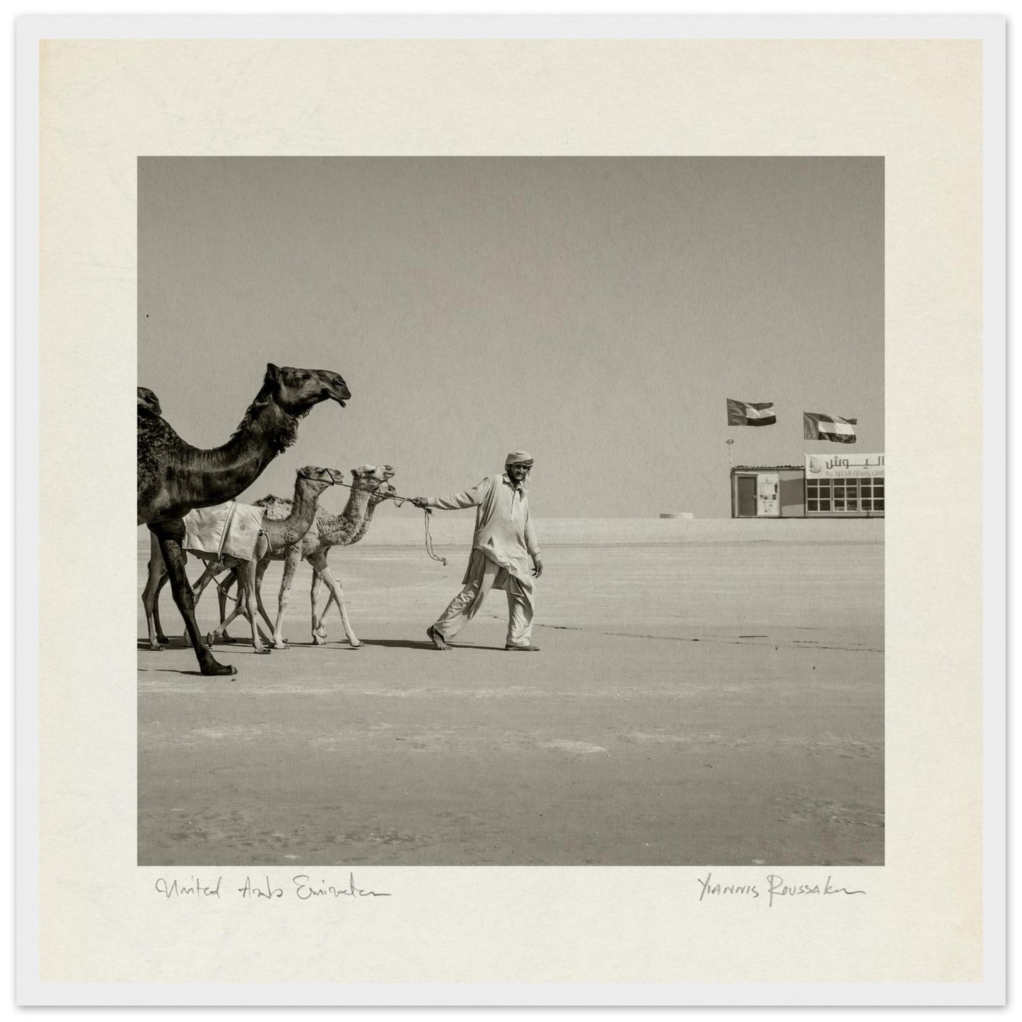 ccad428c-d8cc-402c-a0f2-abf8852e1c2d