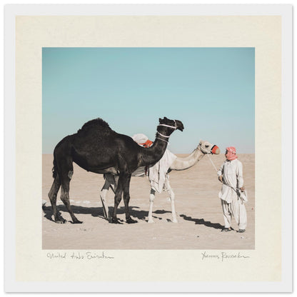 ccb35875-af57-4766-95d1-dc335a0fbfb2