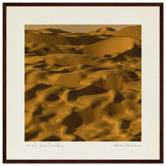 ce1ee56c-0f09-4aed-82e6-5e0e62279007