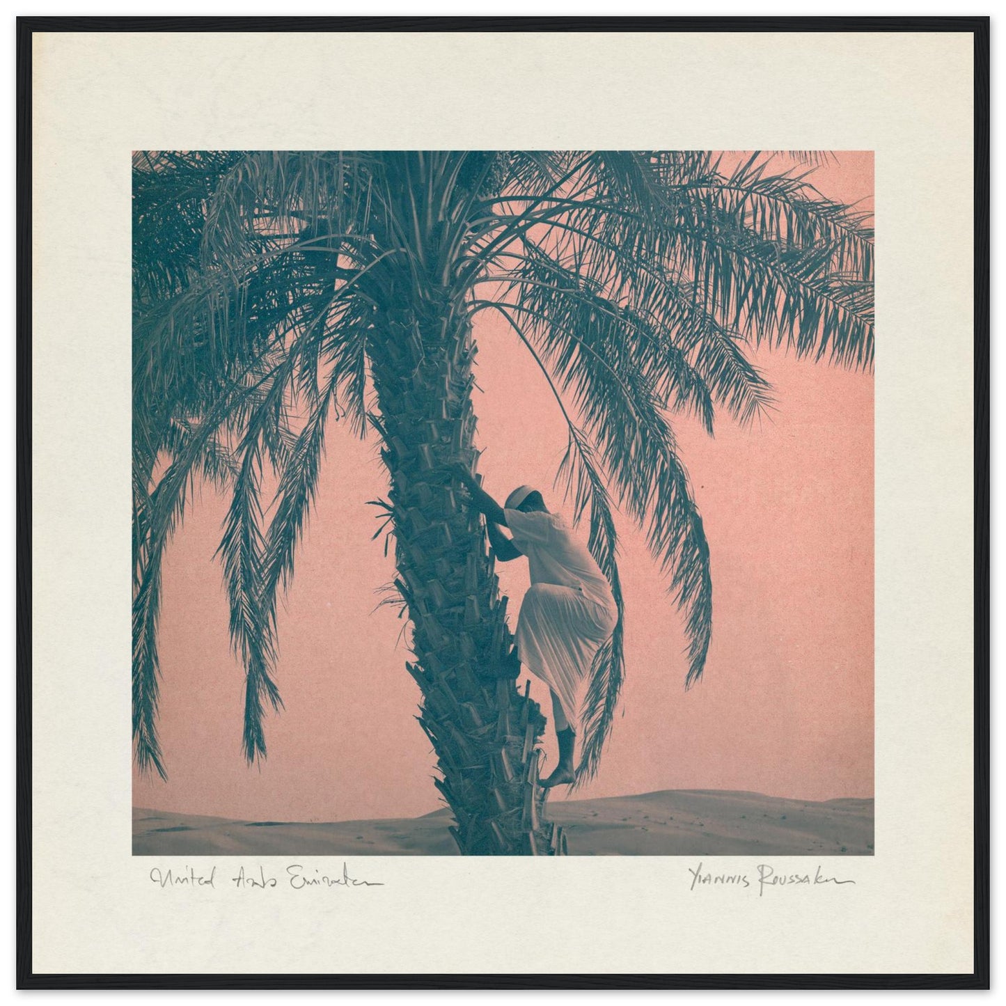 ce77d80a-4968-48dd-a07b-f1478cc99e00