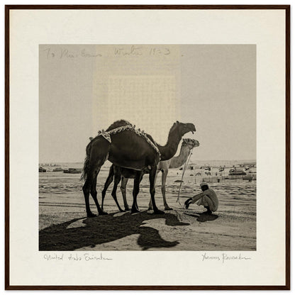 ceb9f855-51b7-4d5b-8663-e1be04dab5e8