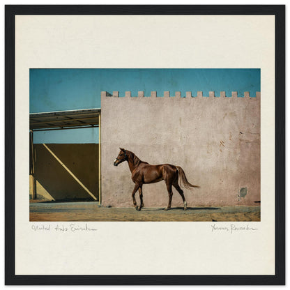 d0ece4a0-77dd-4209-8a84-5da11887028c