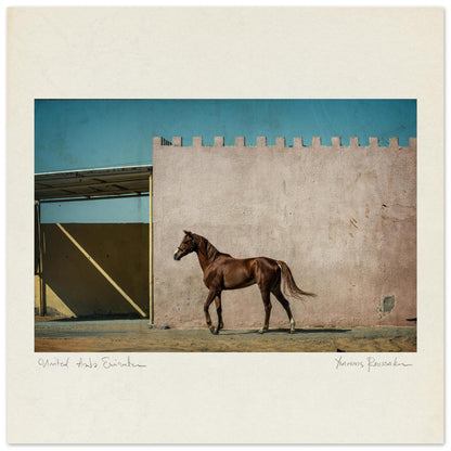 d1fc0198-8f9c-4c8c-b62a-874fdbaa9978