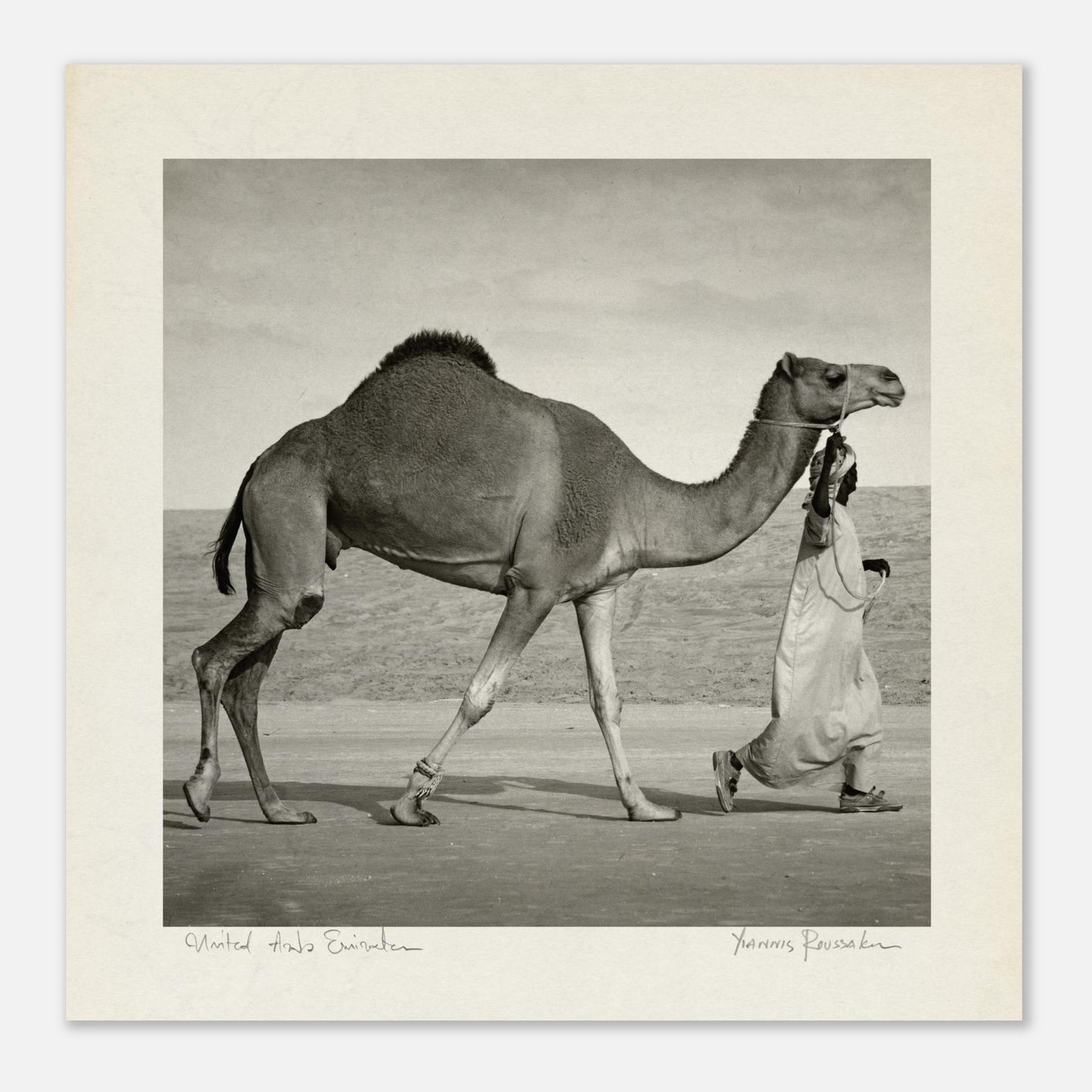 d201babf-5473-42e2-9c1d-54914a5b3815