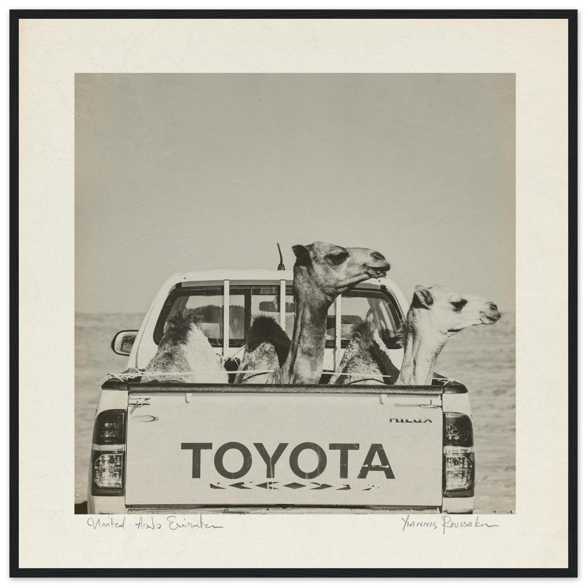 d2059b5d-d449-4326-afbf-b0cc593f5a3c