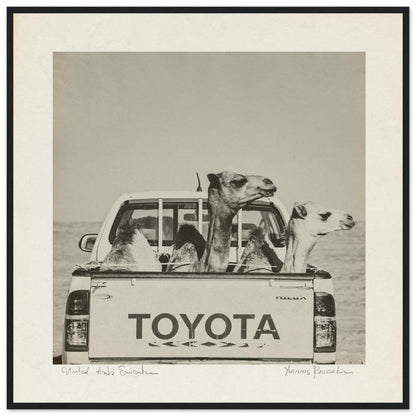 d2059b5d-d449-4326-afbf-b0cc593f5a3c