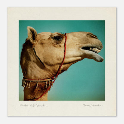 d267c7cd-6888-4468-9c67-9c8bfbd18101