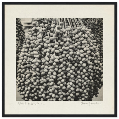 d2bf0c56-9316-47d0-8e9e-38b10d8773ba