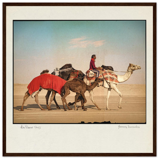 d2e2c397-dc7e-41e6-a105-b2cf2a3835a0