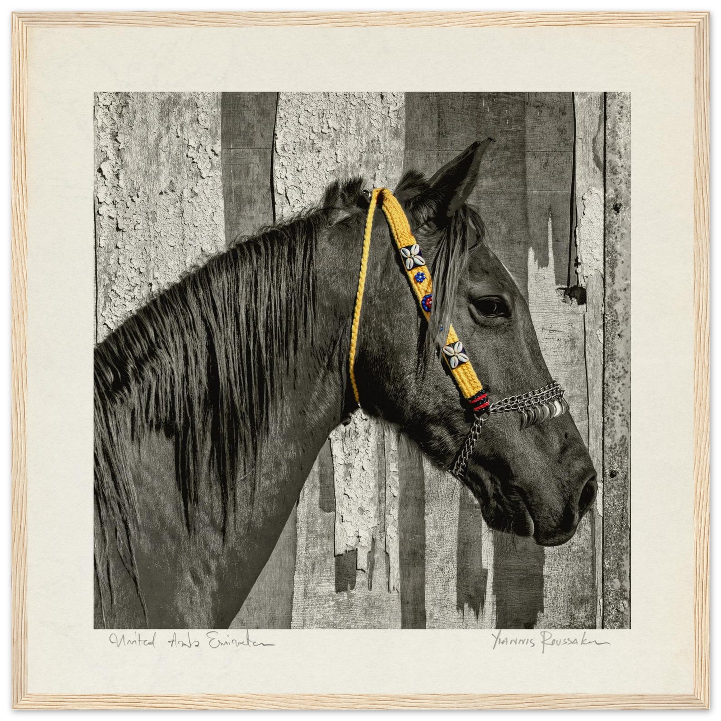 d2ef1c2c-6ff6-4d8c-860e-d4d7caa2b4a0