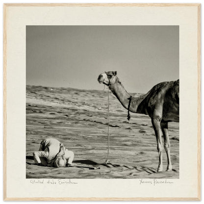 d31bc914-258b-43c4-bd5d-40db2ac28114