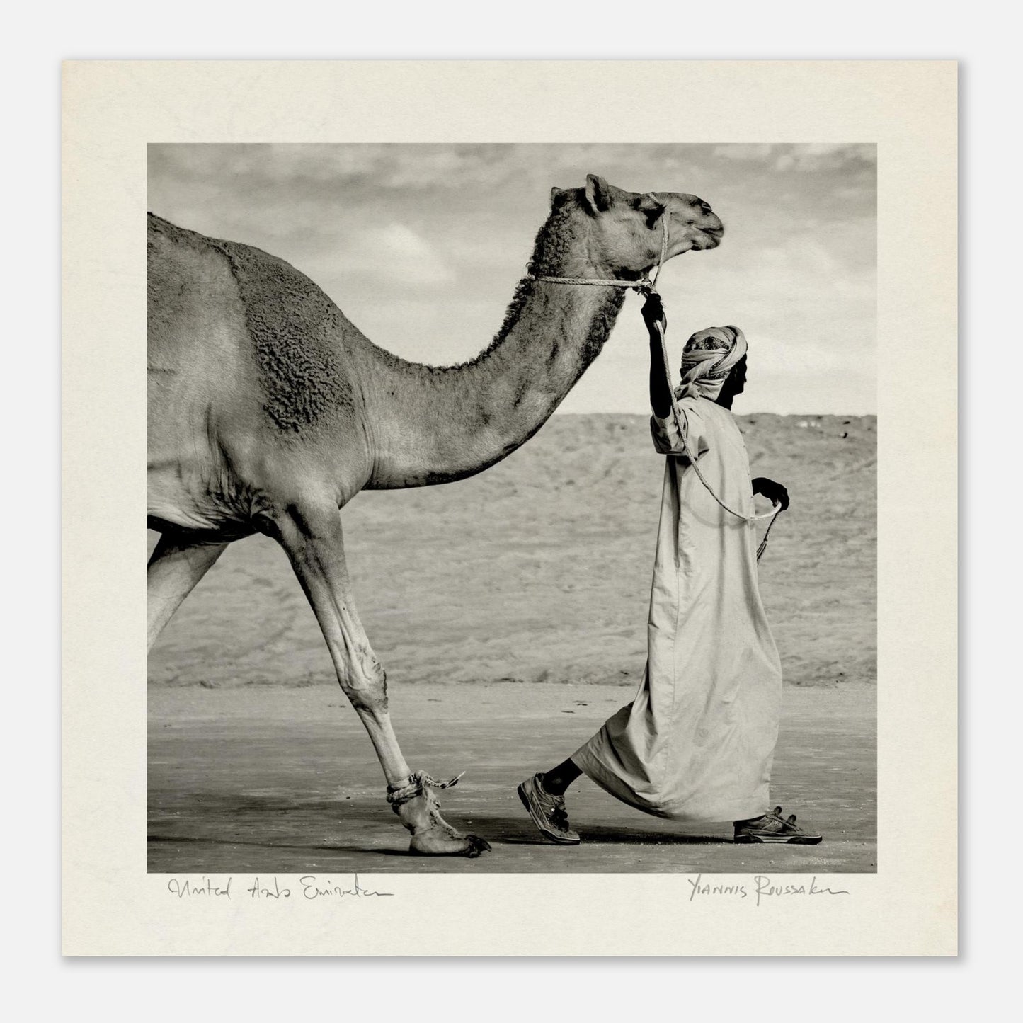 d40514bd-9d52-49df-bdbb-0e8f41c405fa