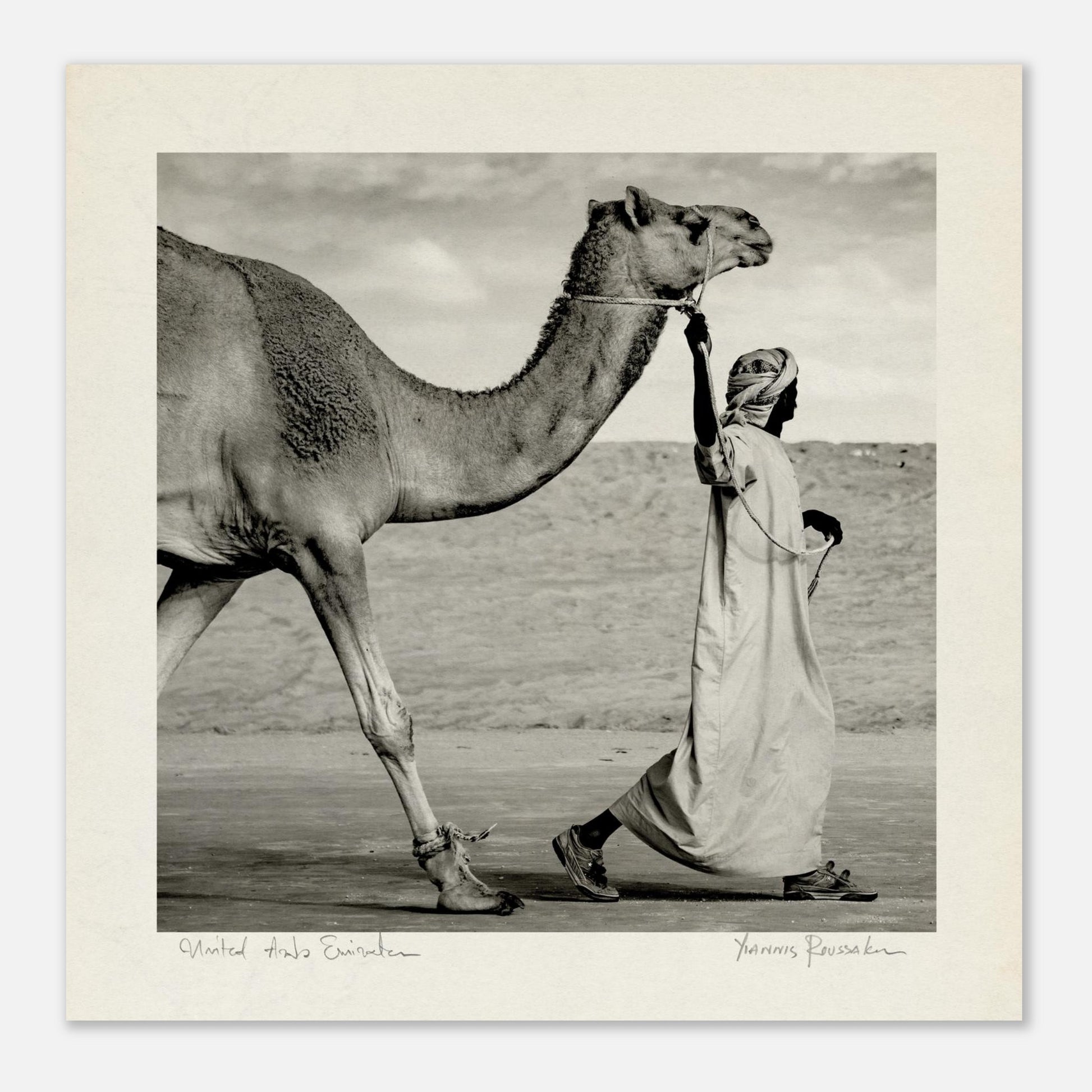 d40514bd-9d52-49df-bdbb-0e8f41c405fa