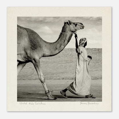 d40514bd-9d52-49df-bdbb-0e8f41c405fa